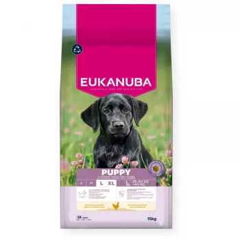 Alimento seco para cães EUKANUBA Puppy Large Chicken 15 kg — alimento para cachorros de raças grandes e gigantes, 26,5 % proteína