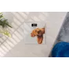 Balança Zelmer ZBS1010 branca ZBS1010 cão ZELMER