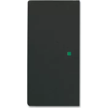 Busch-Jaeger 2CKA006220A0503 placa de cobertura para suporte de sensor e conector fêmea preto (2CKA006220A0503)
