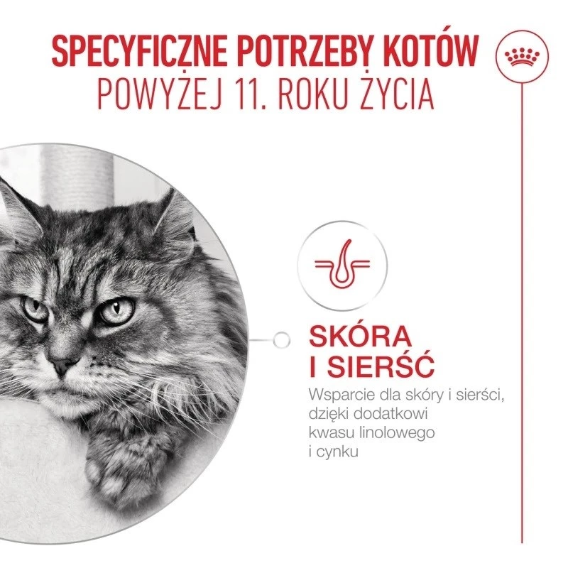 Comida seca para gatos Royal Canin FHN Ageing 11+ 4 kg — alimento completo para gatos idosos, aves, 30% proteína
