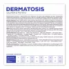 VET EXPERT Veterinary Diet Dermatosis Cão Salmão e Batata - Alimento seco para cães - 2 kg