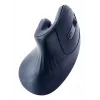 Gembird MUSW-ERGO-03 Rato Casa Destro RF Sem fios Ótico 1600 DPI