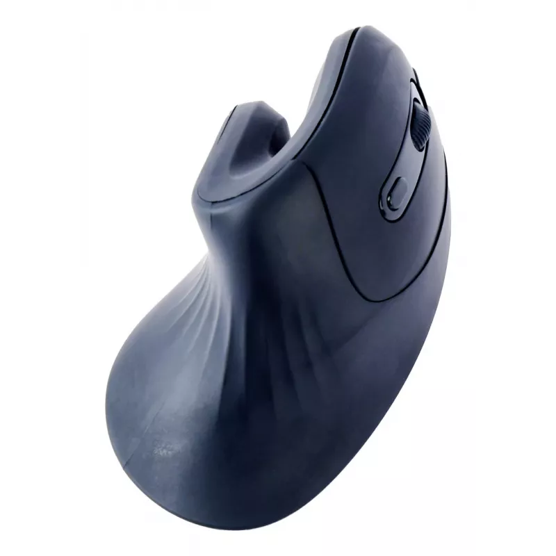 Gembird MUSW-ERGO-03 Rato Casa Destro RF Sem fios Ótico 1600 DPI
