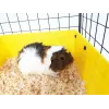 Gaiola modular C&C para pequenos animais de um andar 3x2 com sótão e rampa