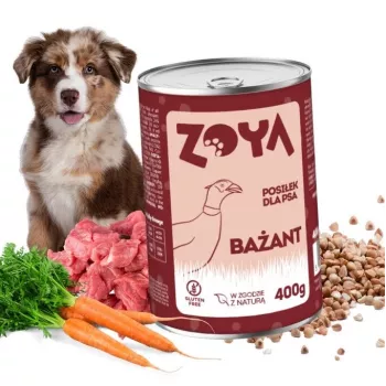 ZOYA faisão – alimento húmido para cães lata 400g