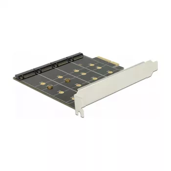 Placa de interface DeLOCK 89888