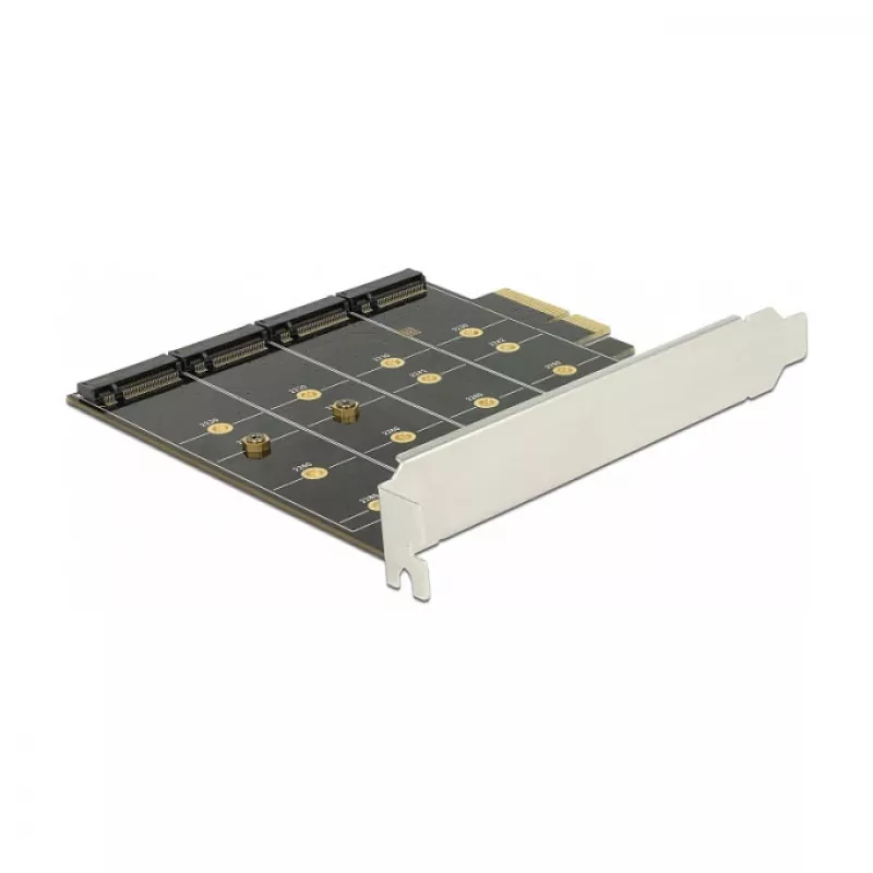 Placa de interface DeLOCK 89888