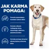 HILL'S PD D/D Food Sensitivities, pato e arroz - alimento seco para cães - 4 kg