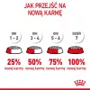 ROYAL CANIN Puppy Mini - Alimento seco para cães - 8 kg