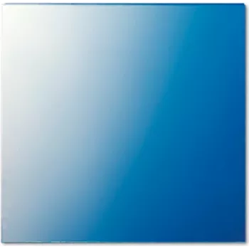 Jung Anilha 62,5x61x1mm 61 GL (61GL)