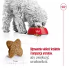 ROYAL CANIN Adult Mini S - Ração seca para cães - 4 kg