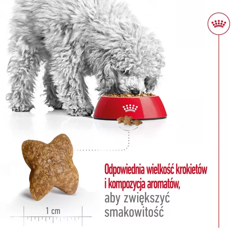 ROYAL CANIN Adult Mini S - Ração seca para cães - 4 kg