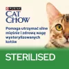 PURINA Cat Chow Sterilised Gig frango com beringela - comida húmida para gatos 85 g
