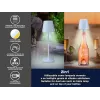 Vaporizador elétrico Beper P201UTP124 2 níveis 800 W, cozedor de alimentos para bancada