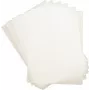 Películas de plastificação DAHLE A3 303×426 mm 2×125 μm (250 mi) – pack de 100