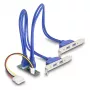 Adaptador USB 3.2 Gen 1 interno DeLOCK 61066 M.2 conector macho preto