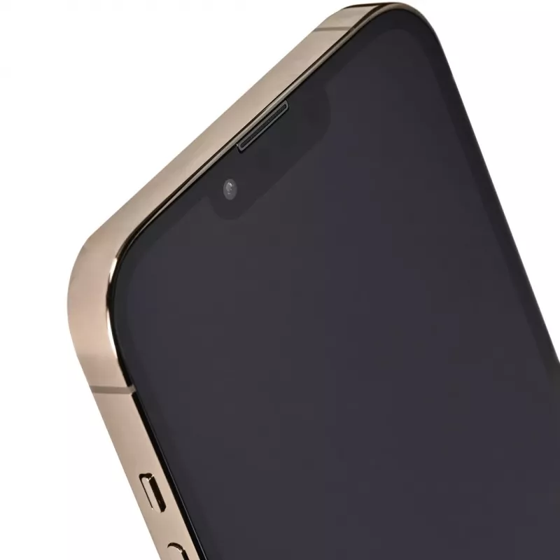 Apple iPhone 13 Pro Max 6,7 Dual SIM iOS 15 5G 256 GB dourado recondicionado / recondicionado