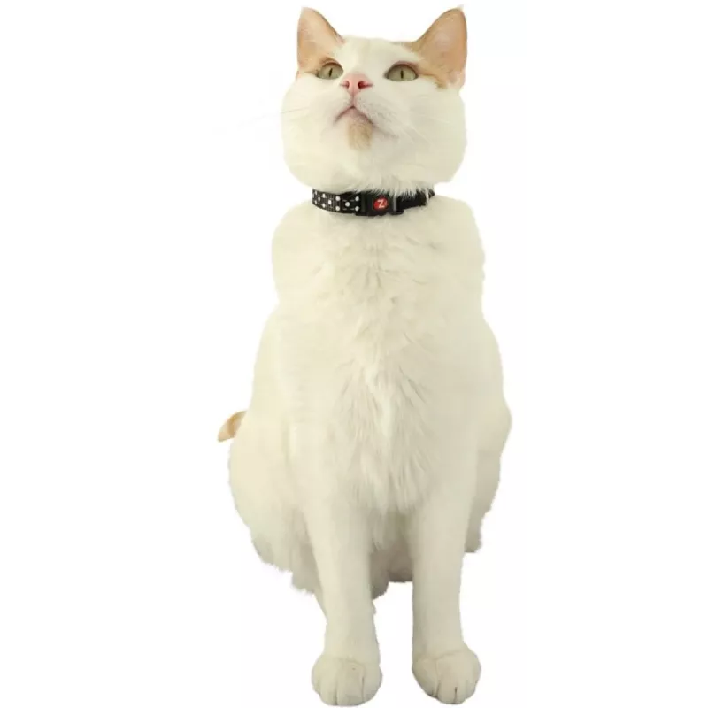 ZOLUX Chatouille azul - coleira para gatos