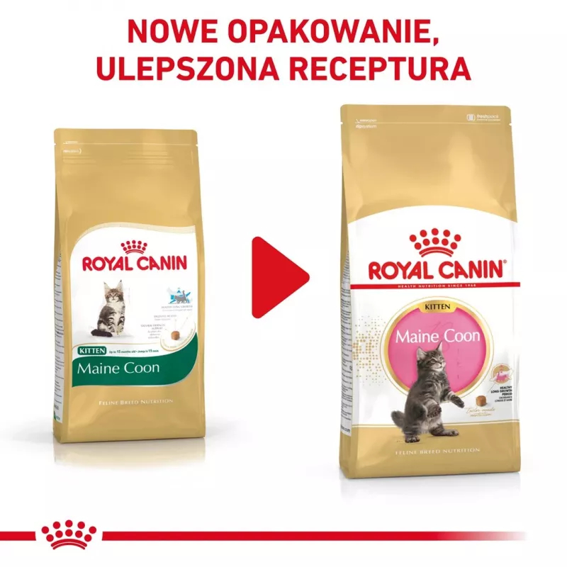 Ração seca para gatos Royal Canin Maine Coon Kitten 400 g — aves, 36% proteína, 23% gordura