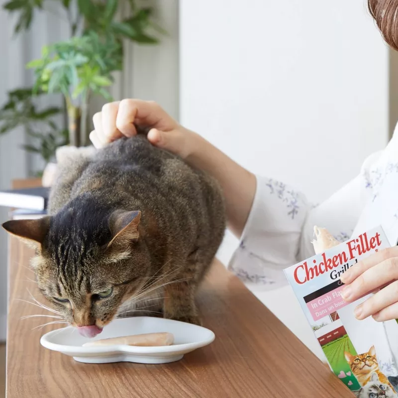 INABA Frango Grelhado, filete extra tenro em caldo com aroma a vieira - Petiscos para gatos - 25 g