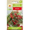 Sementes de tomate-cereja Bajaja Toraf, embalagem de 0,3 g