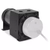 Alphacool Core 100 Aurora ARGB reservatório 15393, D5/VPP, acetal/acrílico, preto
