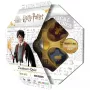 Harry Potter Zauberer-Quiz, jogo de quiz