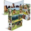Dossier HERMA 19251 A4 multicolorido com anéis D 285x315 mm
