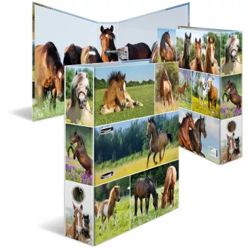 Dossier HERMA 19251 A4 multicolorido com anéis D 285x315 mm