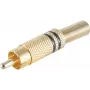 shiverpeaks BS52020-S conector de cabo RCA dourado (BS52020-S)