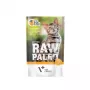 VetExpert Raw Paleo Kitten Cat comida húmida para gatinhos com peru, 100 g