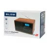 Rádio portátil analógico AM/FM BLOW RA9 V.2 — receção AM e FM, a pilhas, sintonização analógica