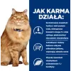 HILL'S PD K/D Kidney + Mobility frango - alimento seco para gatos - 3 kg