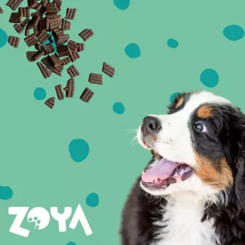 ZOYA ColdPRO Veado - Comida seca para cães - 1 kg