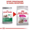 Royal Canin CCN MINI EXIGENT – ração seca para cães adultos – 3 kg