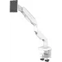 Suporte de mesa para ecrã plano LC-Power LC-EQ-A49W 124,5 cm (49) branco mesa/bancada de trabalho (LC-EQ-A49W)