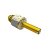 Microfone Denver KMS-20GMK2 dourado