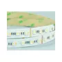 Synergy 21 LED Flex Strip 5050 - 84 RGB DC24V + RGB-WW (RGB-CCT) um chip HD IP20