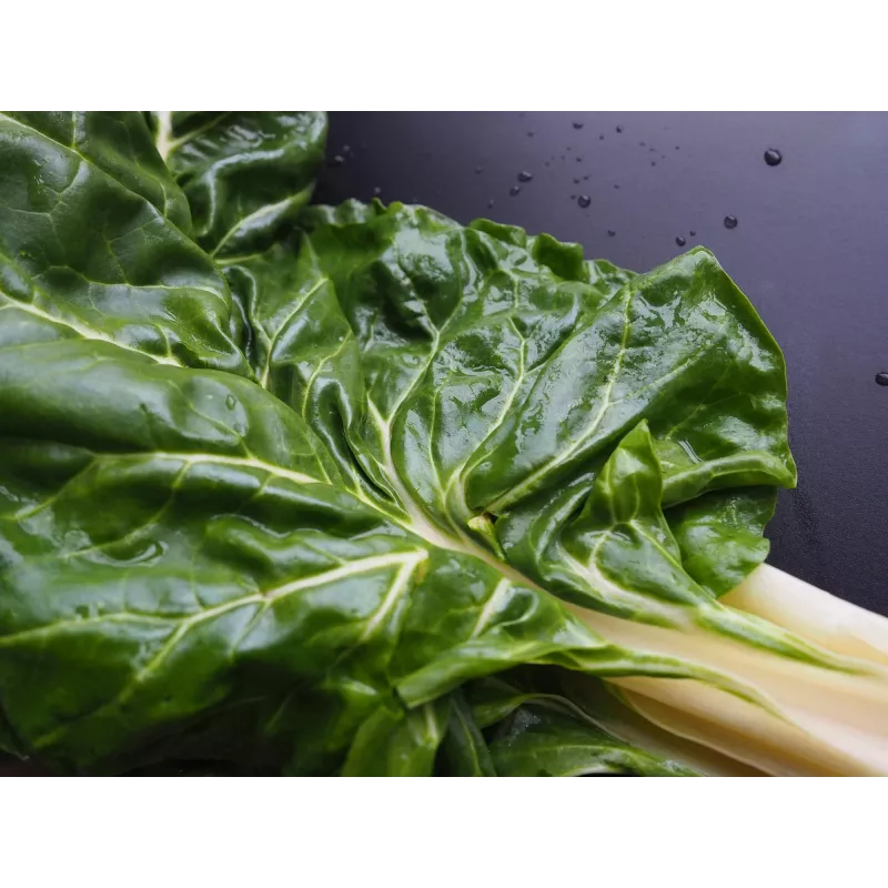 Sementes de hortícolas acelga Lucullus Toraf, pacote 5g