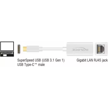 DeLOCK 65906 Adaptador de rede de USB Type-C para Gigabit LAN, branco