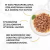PURINA Gourmet Gold Succulent Delights peixe marinho - Alimento húmido para gatos - 85 g