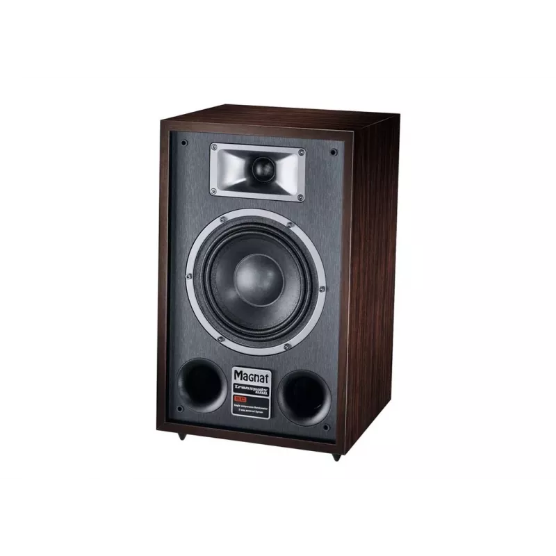Coluna de chão Magnat TRANSPULS 800A, 2 vias com fios e sem fios, 2×60 W, Bluetooth 5.0, HDMI, preto/castanho
