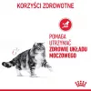 Comida húmida para gatos Royal Canin Urinary Care adultos aves 85 g saqueta (pack de 12)