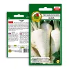 PNOS salsa de raiz Alba sementes de hortícolas, 3 g