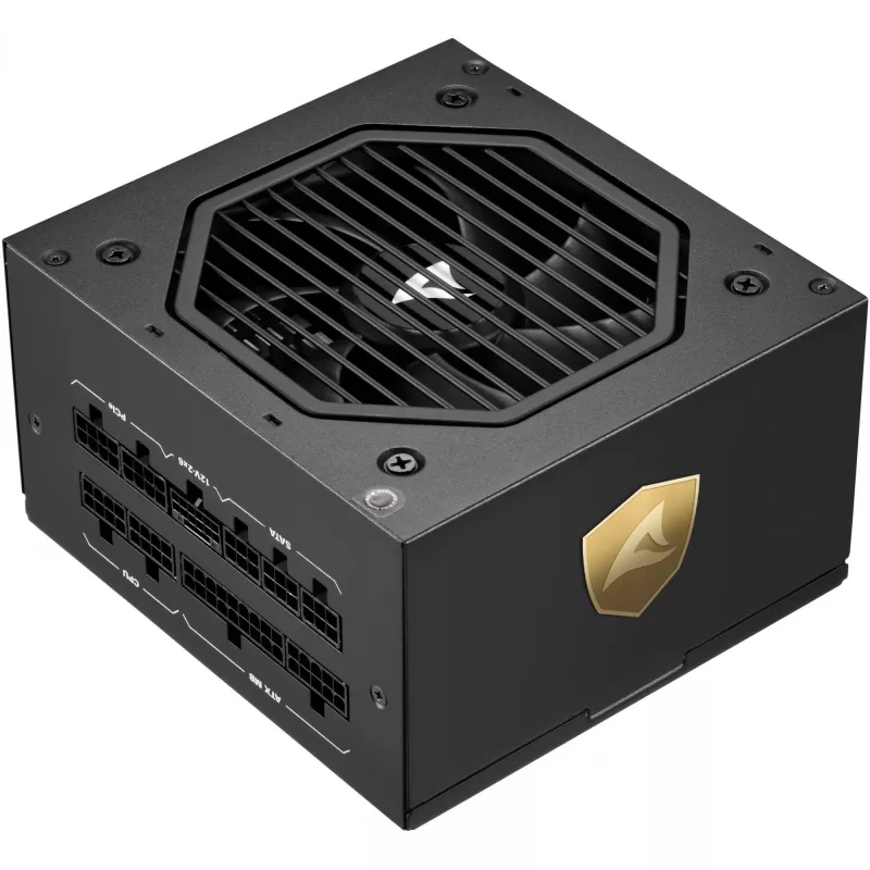 Fonte de alimentação Sharkoon Rebel P20 1000 W 24-pin ATX ATX Preto