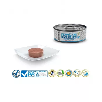 FARMINA Vet Life Hypoallergenic Pork & Potato - comida húmida para gatos - 85 g