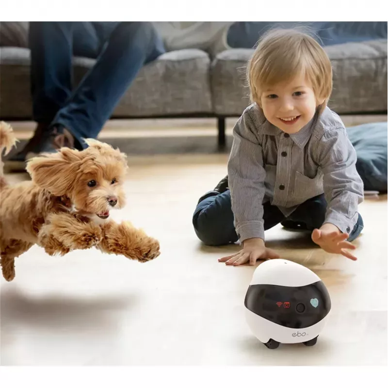 Câmara IP robô Enabot EBO SE compacta N/A MP N/A 16 GB armazenamento externo, suporta máx. 256 GB