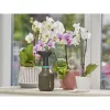 Pulverizador manual Gardena 11110-20 0,75 L preto