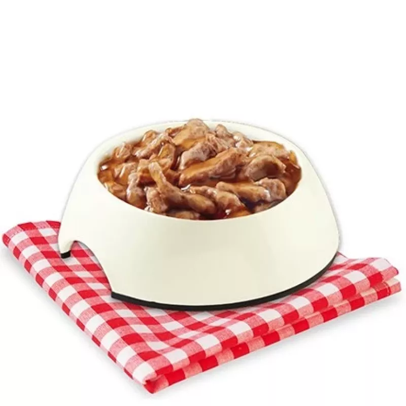 STUZZY Sfilaccetti com peixe branco - comida húmida para cães - 100 g