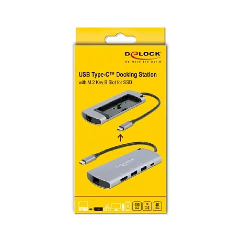 Docking station DeLOCK USB Type-C com slot M.2